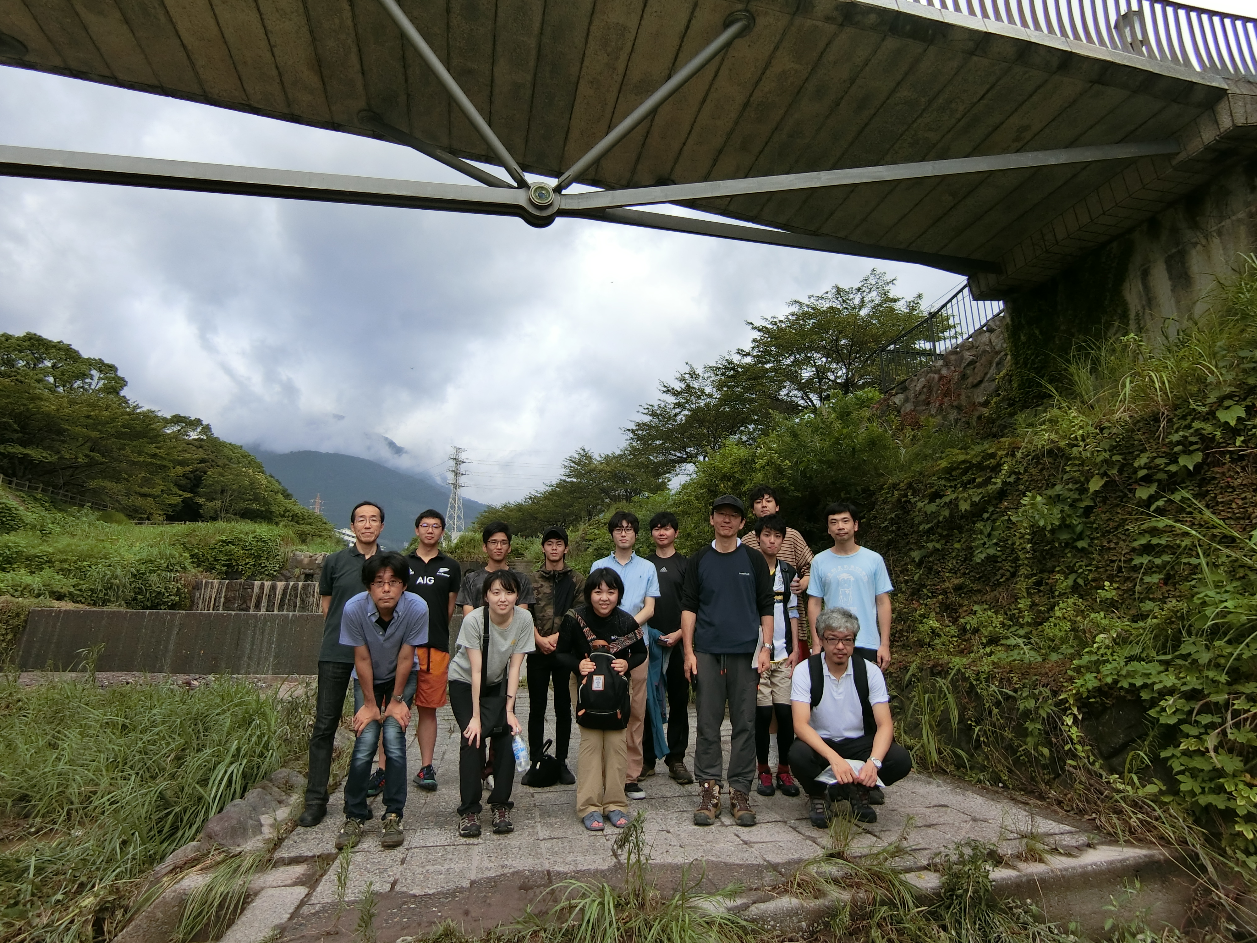 natsuzemi (4).jpg